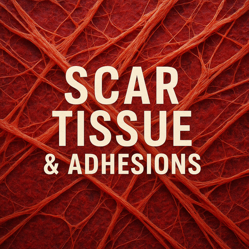 Scar Tissue and Adhesions